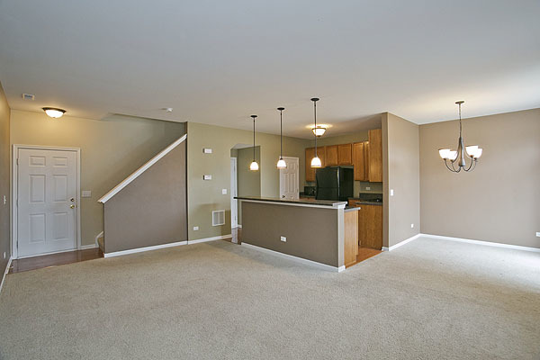 24308 Leski Ln, Plainfield, IL 60585 photo 4