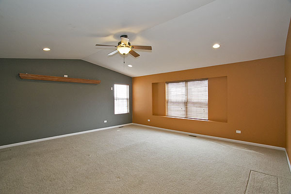 24308 Leski Ln, Plainfield, IL 60585 photo 12