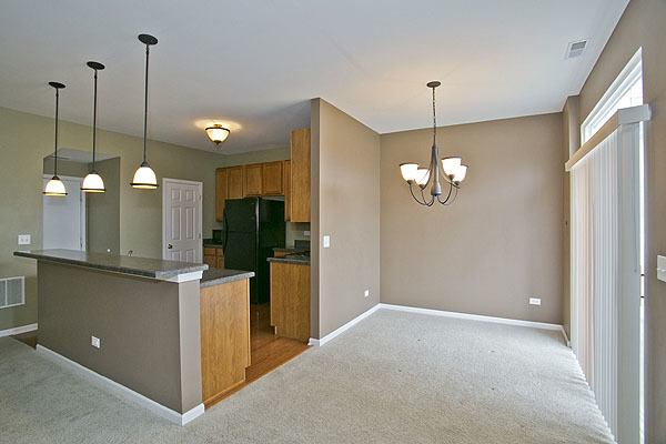 24308 Leski Ln, Plainfield, IL 60585 photo 7