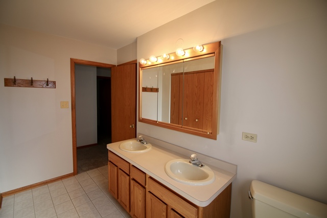 14641 Knox Ave, Midlothian, IL 60445 photo 15