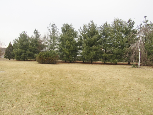 844 Walnut Ct, Marengo, IL 60152 photo 16