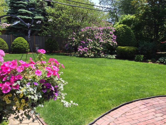 1311 Park Ave, River Forest, IL 60305 photo 13
