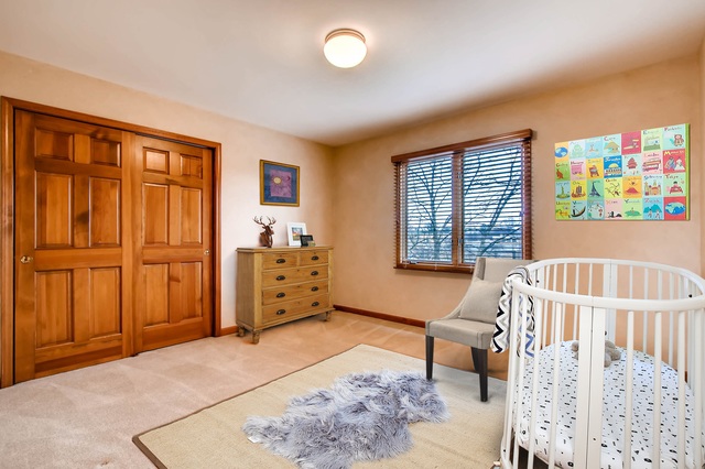 101 Hawkins Cir, Wheaton, IL 60189 photo 20