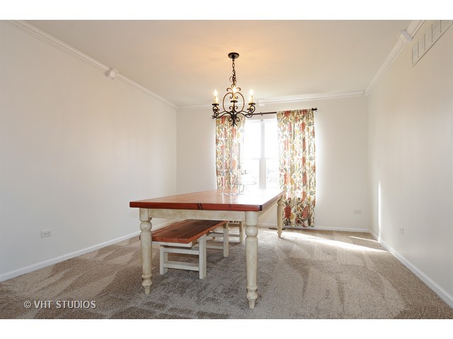13002 Greenfield Dr, Plainfield, IL 60585 photo 9