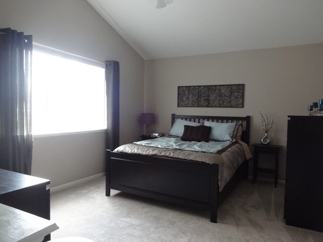 1361 Nightingale Ln, Bartlett, IL 60103 photo 12