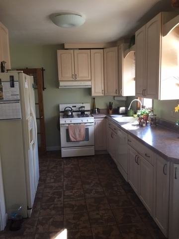 314 E Washington St, Des Plaines, IL 60016 photo 3