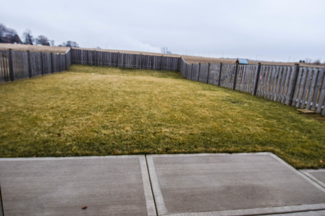 831 Daniel Dr, Minooka, IL 60447 photo 11