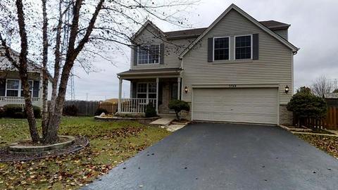 1722 Emerald Pointe Cir, Plainfield, IL 60586 photo 1