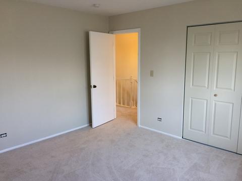 799 Randi Ln, Hoffman Estates, IL 60169 photo 19