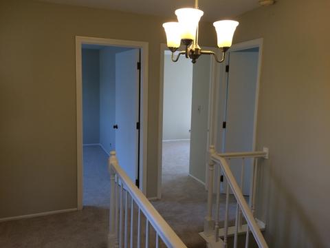 799 Randi Ln, Hoffman Estates, IL 60169 photo 14