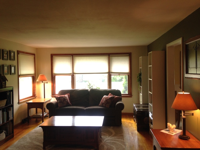 300 E Turner Ave, Roselle, IL 60172 photo 8