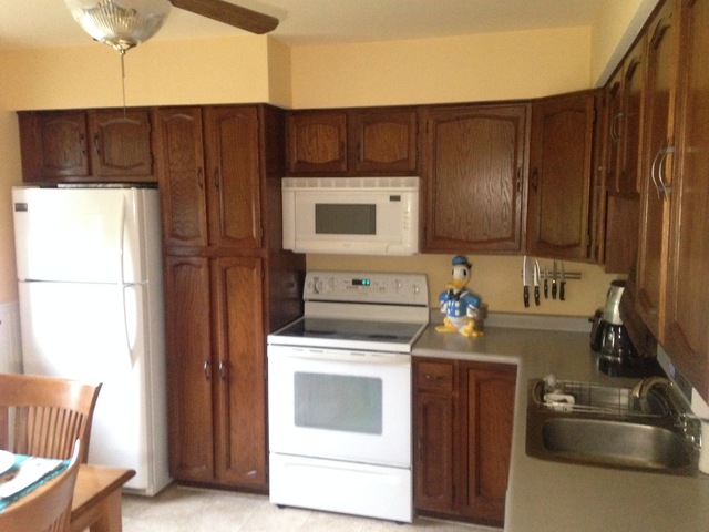 300 E Turner Ave, Roselle, IL 60172 photo 6