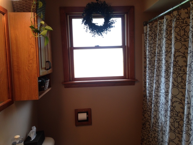 300 E Turner Ave, Roselle, IL 60172 photo 7