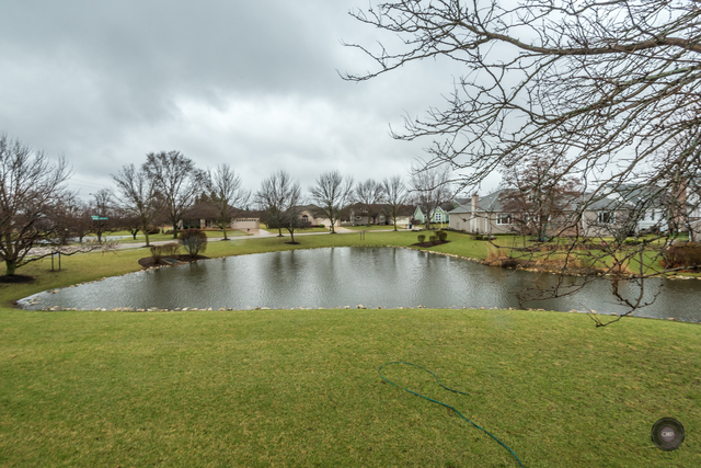 1658 Pathway Dr, Naperville, IL 60565 photo 25