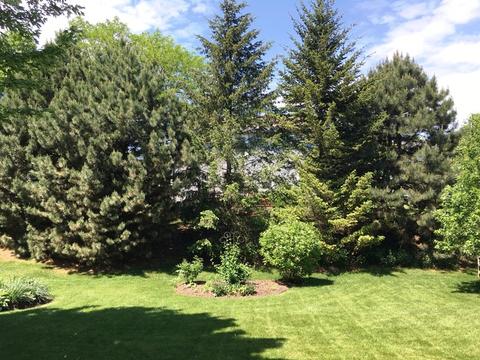 40 Ivanhoe Ln, Cary, IL 60013 photo 6