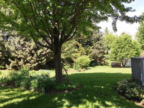 40 Ivanhoe Ln, Cary, IL 60013 photo 5