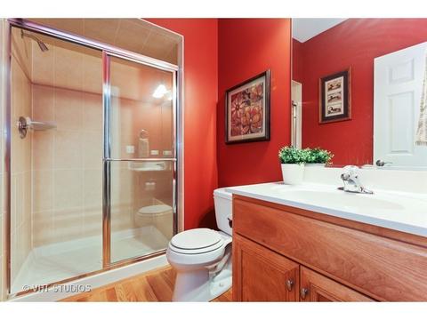 11652 Cinema Dr, Plainfield, IL 60585 photo 22
