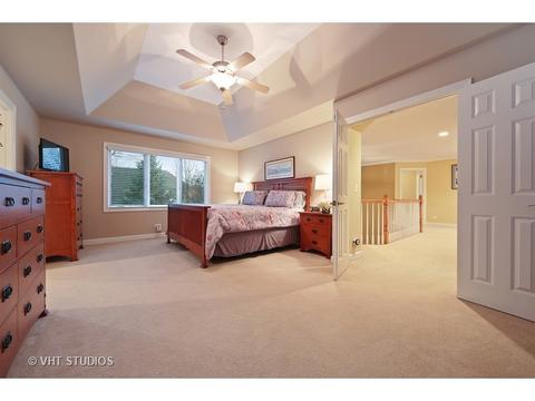 11652 Cinema Dr, Plainfield, IL 60585 photo 12
