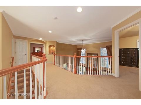 11652 Cinema Dr, Plainfield, IL 60585 photo 20