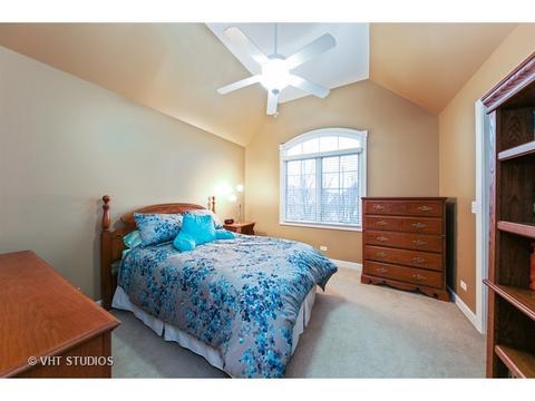 11652 Cinema Dr, Plainfield, IL 60585 photo 19