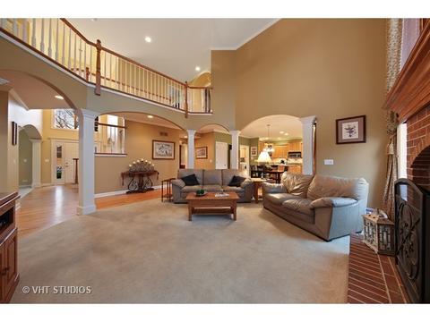 11652 Cinema Dr, Plainfield, IL 60585 photo 3