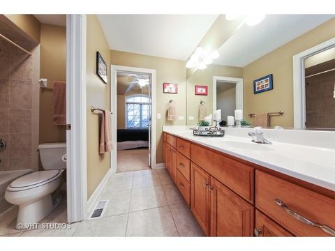 11652 Cinema Dr, Plainfield, IL 60585 photo 16