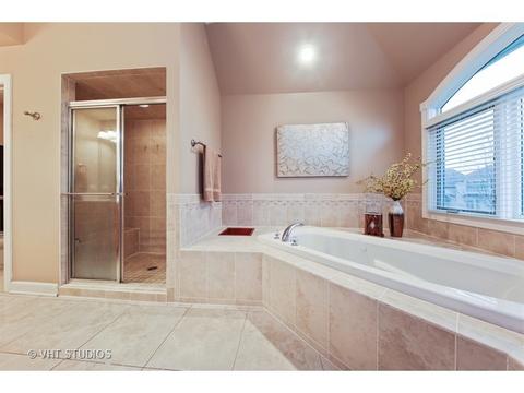 11652 Cinema Dr, Plainfield, IL 60585 photo 15