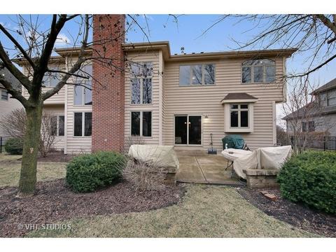 11652 Cinema Dr, Plainfield, IL 60585 photo 23