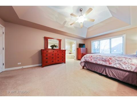 11652 Cinema Dr, Plainfield, IL 60585 photo 13