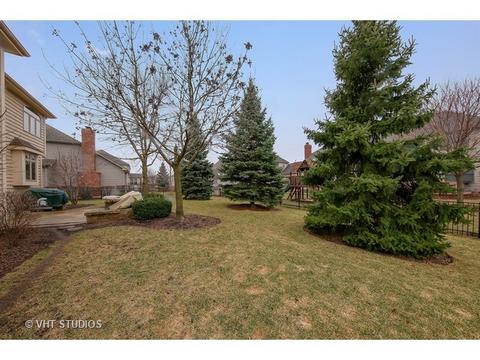 11652 Cinema Dr, Plainfield, IL 60585 photo 24
