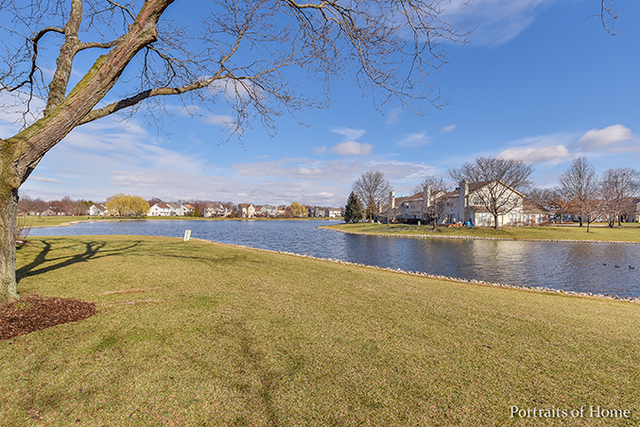 721 Ripple Brook Ln, Elgin, IL 60120 photo 3