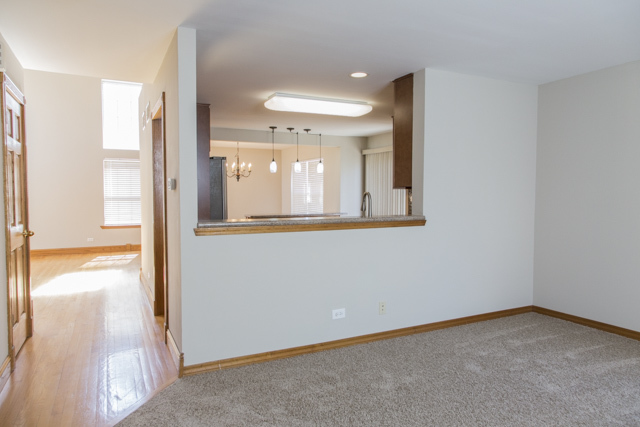 1326 Geneva Ln, Bartlett, IL 60103 photo 6