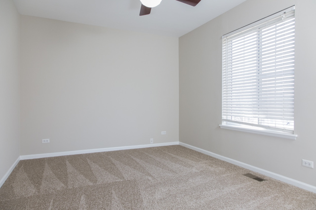 1326 Geneva Ln, Bartlett, IL 60103 photo 9