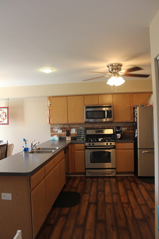 25283 Faraday Rd, Manhattan, IL 60442 photo 6