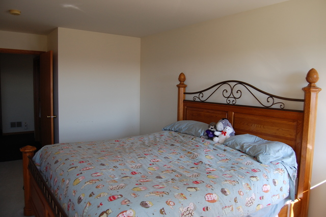 304 E Rennesoy Dr, Newark, IL 60541 photo 18