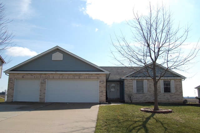 304 E Rennesoy Dr, Newark, IL 60541 photo 1