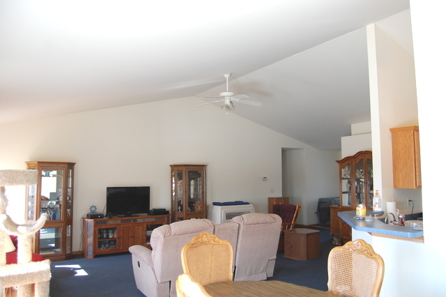 304 E Rennesoy Dr, Newark, IL 60541 photo 9