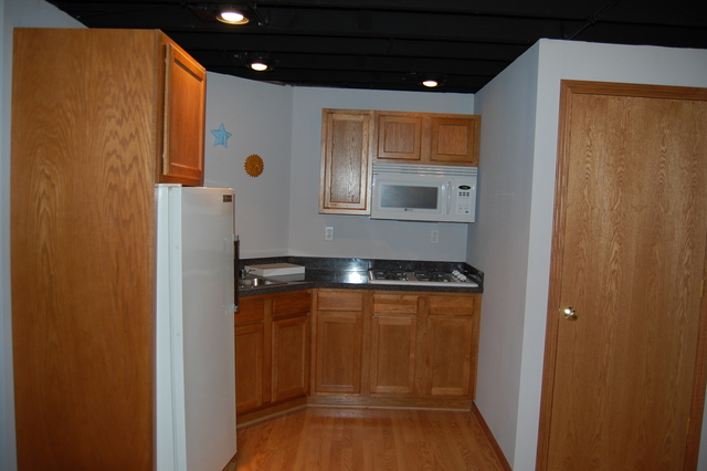 304 E Rennesoy Dr, Newark, IL 60541 photo 21