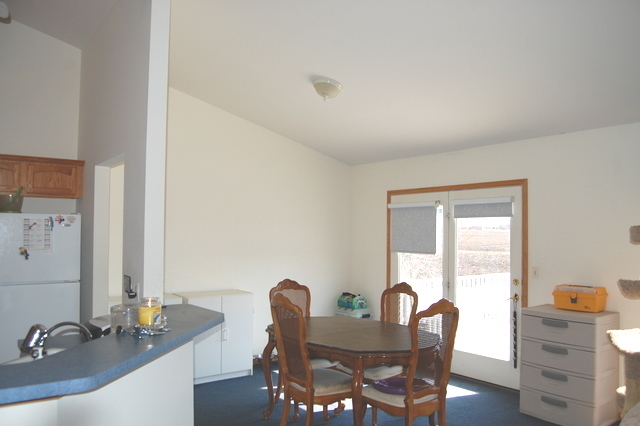 304 E Rennesoy Dr, Newark, IL 60541 photo 10