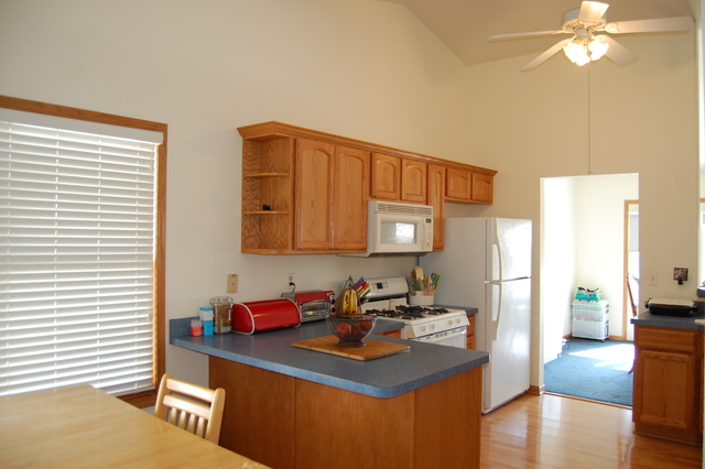 304 E Rennesoy Dr, Newark, IL 60541 photo 6