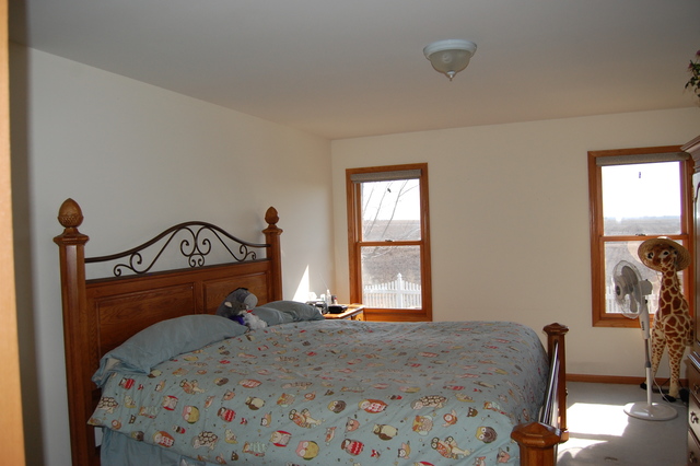 304 E Rennesoy Dr, Newark, IL 60541 photo 17