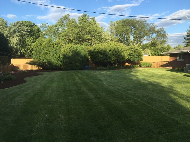 23524 W Pennington Rd, Plainfield, IL 60544 photo 6