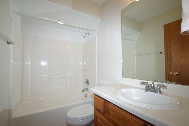 1002 Old Hunter Run, Byron, IL 61010 photo 8