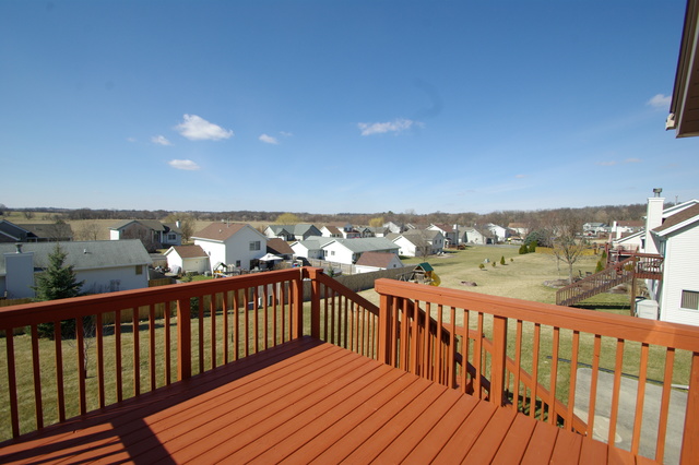 1002 Old Hunter Run, Byron, IL 61010 photo 9