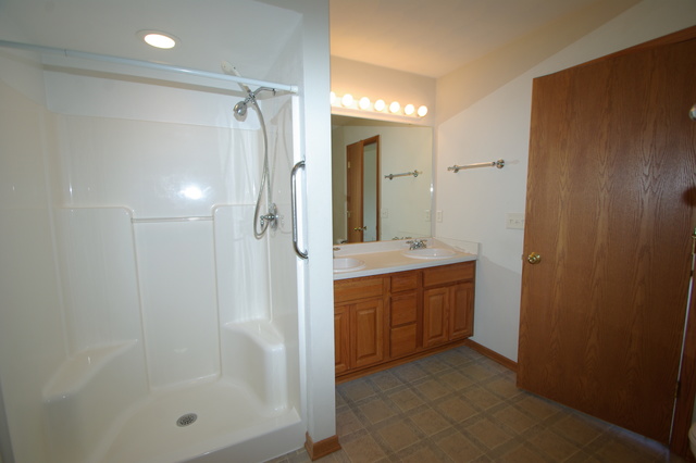 1002 Old Hunter Run, Byron, IL 61010 photo 5