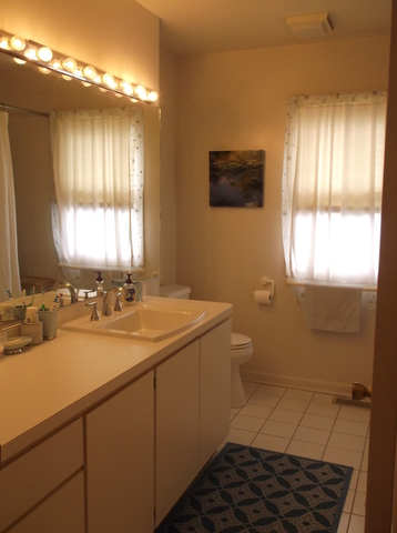 719 Laurel Ave, Des Plaines, IL 60016 photo 21