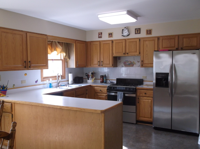 719 Laurel Ave, Des Plaines, IL 60016 photo 9
