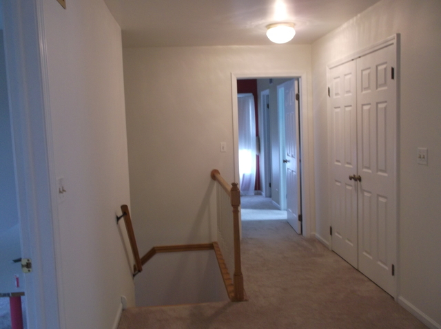 719 Laurel Ave, Des Plaines, IL 60016 photo 14