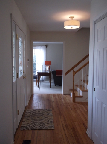 719 Laurel Ave, Des Plaines, IL 60016 photo 22