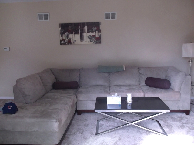 719 Laurel Ave, Des Plaines, IL 60016 photo 6